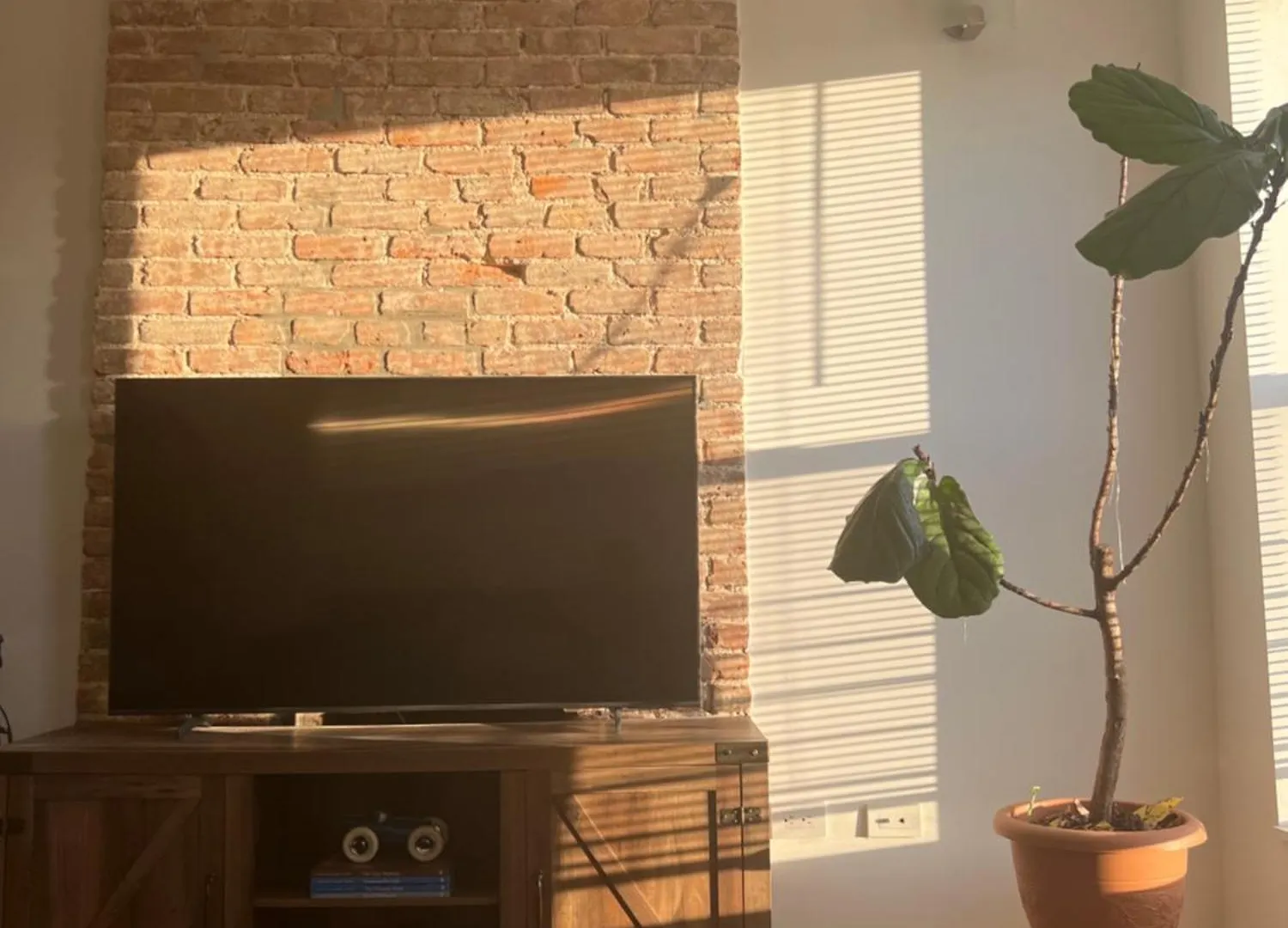 1 Bedroom In Apartment In Bedstuy Brooklyn New York 0*,  United States