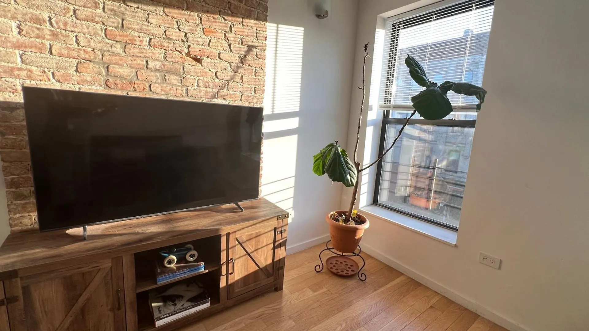 1 Bedroom In Apartment In Bedstuy Brooklyn New York
