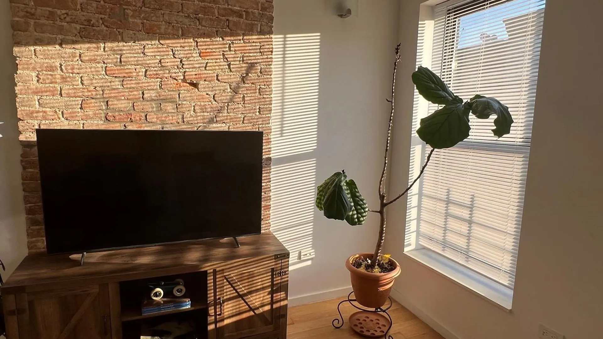 1 Bedroom In Apartment In Bedstuy Brooklyn New York